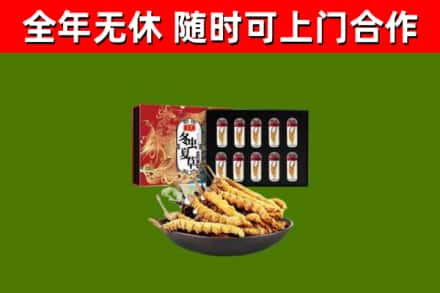 白城回收冬虫夏草价格